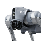 Quadruped robot Unitree Go2 image 1